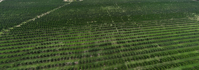 Rural / Farming commercial property for sale at Bucca QLD 4670