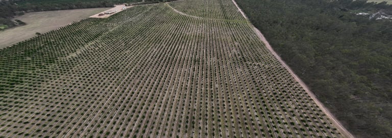 Rural / Farming commercial property for sale at Bucca QLD 4670