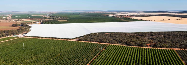 Rural / Farming commercial property for sale at Nericon NSW 2680