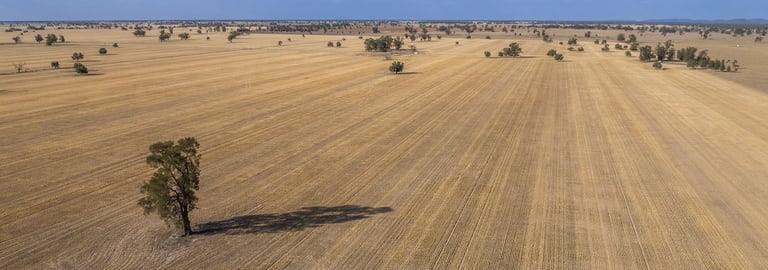 Rural / Farming commercial property for sale at 279 West Plains Road Corinella NSW 2871