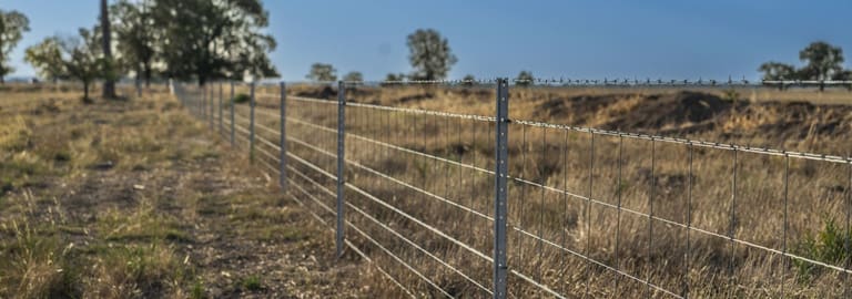 Rural / Farming commercial property for sale at 279 West Plains Road Corinella NSW 2871