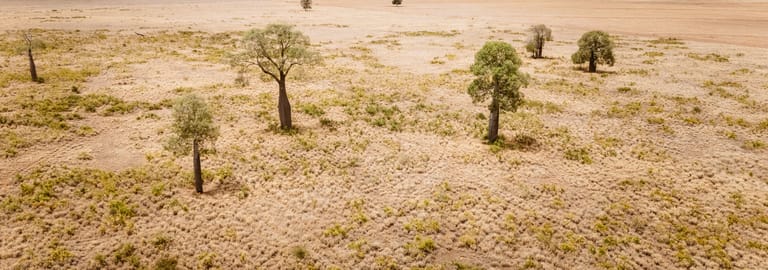 Rural / Farming commercial property for sale at Tingun QLD 4455 Rural / Farming commercial property for sale at Tingun QLD 4455