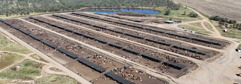 Rural / Farming commercial property for sale at Springsure QLD 4722