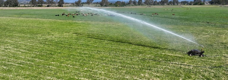 Rural / Farming commercial property for sale at 288 Round Mountain Road Laravale QLD 4285