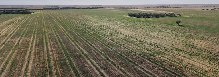 Rural / Farming commercial property for sale at Stirlings, Pompies & Town Loxton SA 5333 Rural / Farming commercial property for sale at Stirlings, Pompies & Town Loxton SA 5333