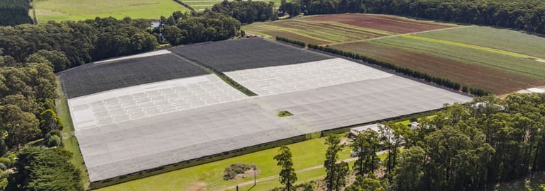 Rural / Farming commercial property for sale at 1363 Whittlesea Yea Road Kinglake West VIC 3757