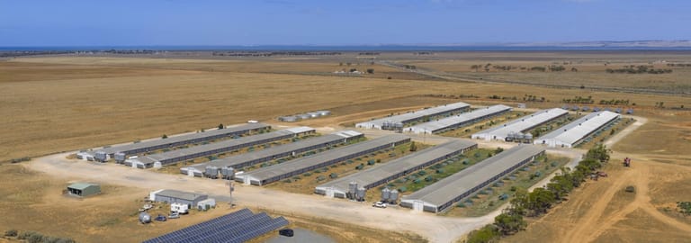 Rural / Farming commercial property for sale at 18 Pareora Road Port Wakefield SA 5550