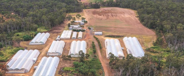 Rural / Farming commercial property for sale at 2034 Rosedale Road Bundaberg QLD 4670