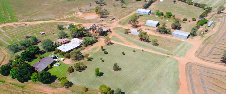 Rural / Farming commercial property for sale at 165 Millbank Road Old Junee NSW 2652