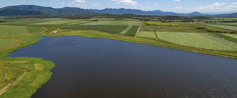 Rural / Farming commercial property for sale at Blue Mountain QLD 4737