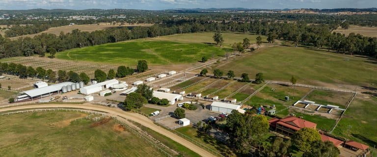 Rural / Farming commercial property for sale at 164 Toms Lane Wagga Wagga NSW 2650