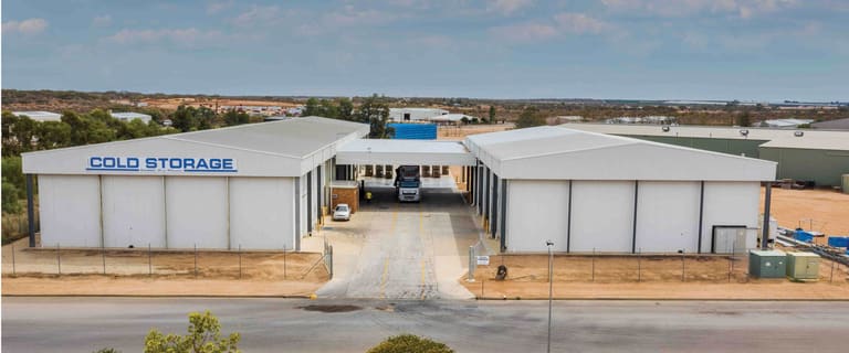 Factory, Warehouse & Industrial commercial property for sale at 29 Kernich Street Renmark West SA 5341