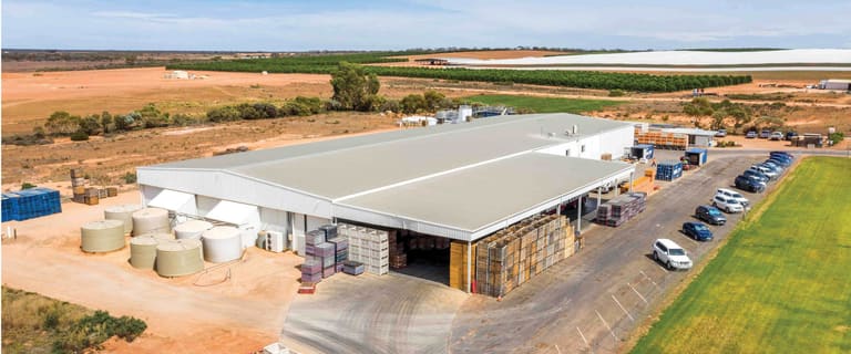 Factory, Warehouse & Industrial commercial property for sale at 29 Kernich Street Renmark West SA 5341