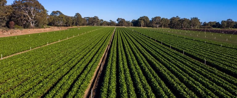 Rural / Farming commercial property for sale at Adelaide SA 5000