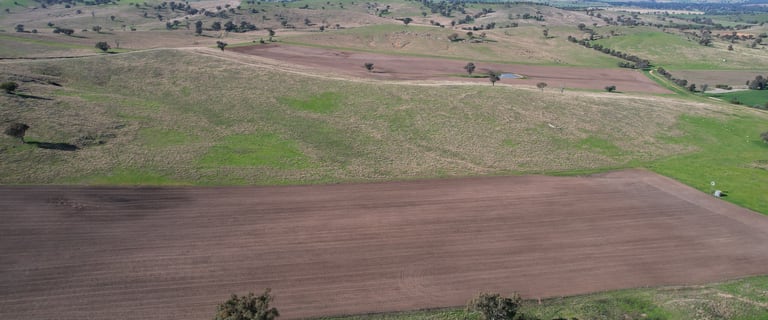 Rural / Farming commercial property for sale at Fairfield Park Aggregation Wagga Wagga NSW 2650