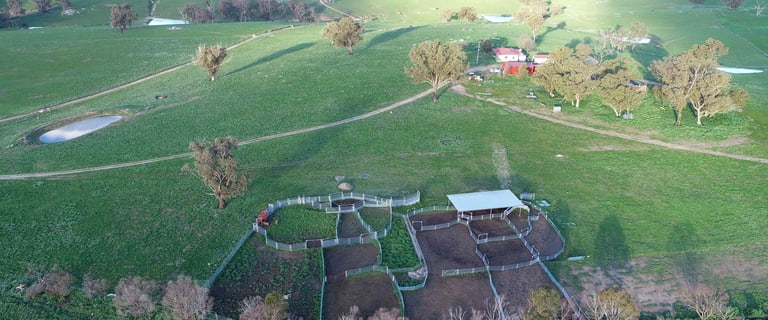 482 Rural Farming Properties For Sale In Wagga Wagga Nsw 2650