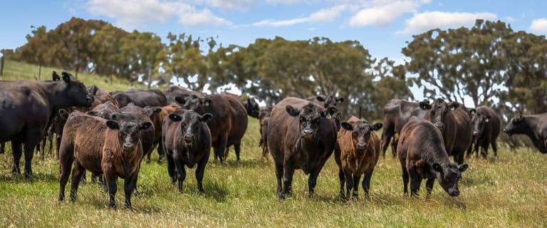 698 Rural Farming Properties For Sale In Vic