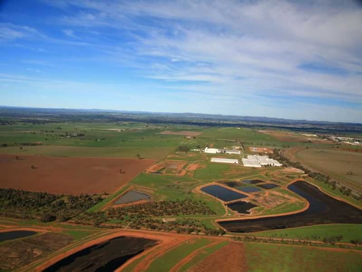 A8 560 Byrnes Road Bomen NSW 2650 - Image 3