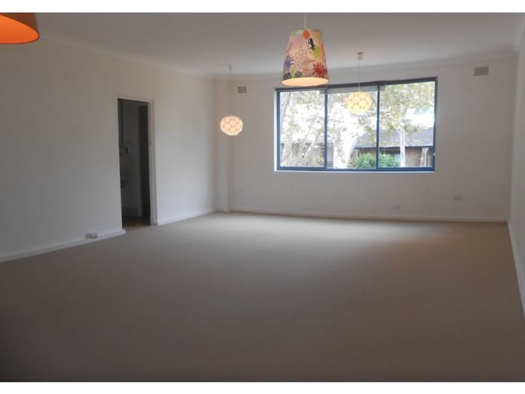 8a Cecil Street Paddington NSW 2021 - Image 3
