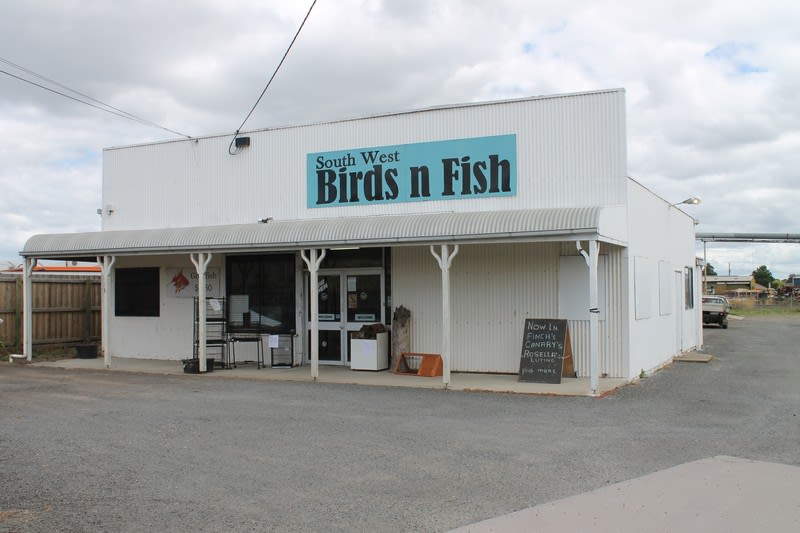 1B Forrest Street Colac VIC 3250 - Image 1