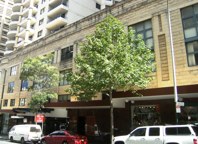 Level 4, 447/311-315 Castlereagh Street Sydney NSW 2000 - Image 3
