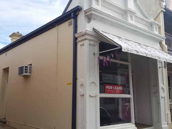 22 Elgin Street Maitland NSW 2320 - Image 2