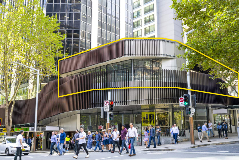 Podium/99 Mount Street North Sydney NSW 2060 - Image 1