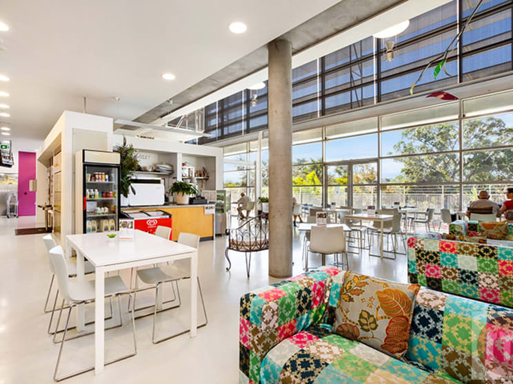 60 Flavelle Street Concord NSW 2137 - Image 1