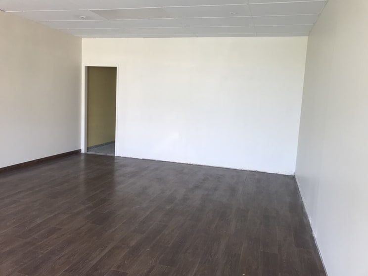 11 Buccleugh Street Moffat Beach QLD 4551 - Image 3