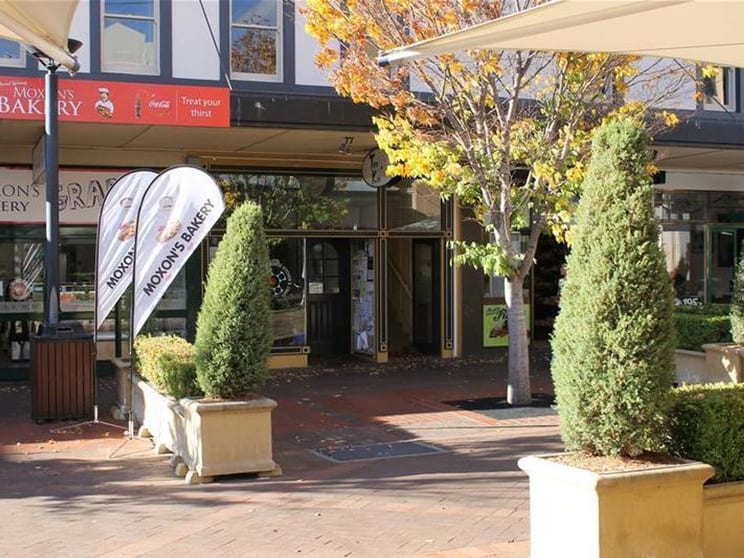Suite 1/171-177 Beardy Street Armidale NSW 2350 - Image 1