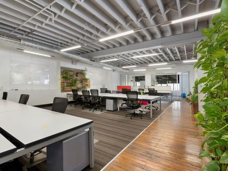 91 Campbell Street Surry Hills NSW 2010 - Image 3