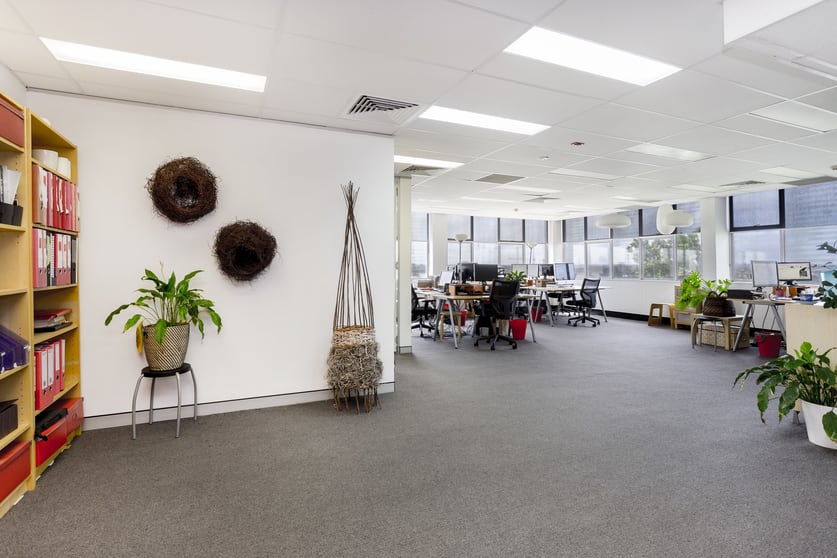 Suite 4.04/10-12 Clarke Street Crows Nest NSW 2065 - Image 2