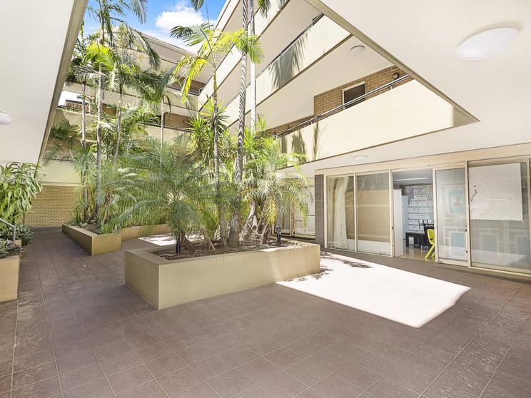 Ground/146 - 152 Cleveland Street Chippendale NSW 2008 - Image 3