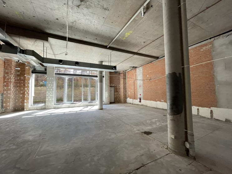 Click to view all images 543 Crown Street Surry Hills NSW 2010 - Image 3