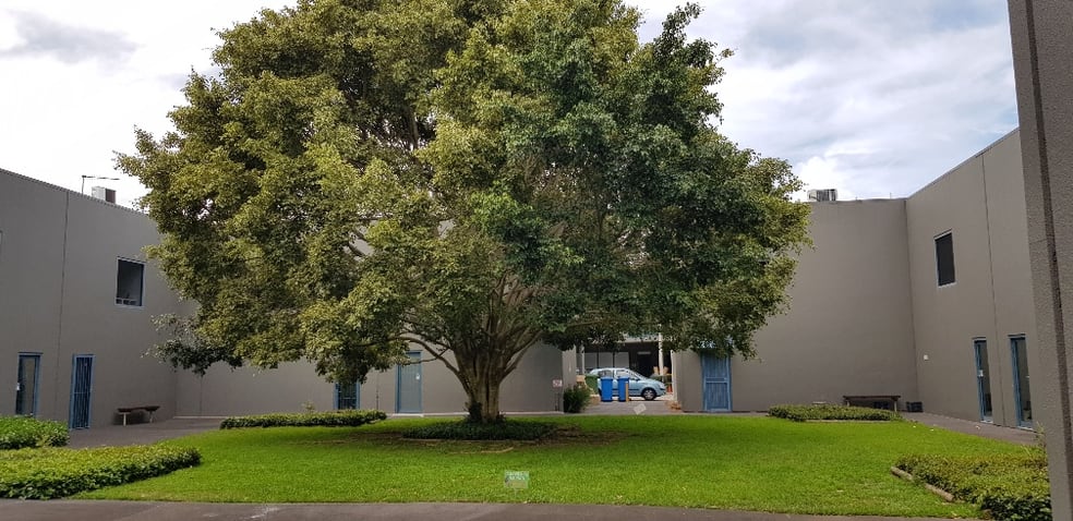 68/41-45 Huntley Street Alexandria NSW 2015 - Image 3