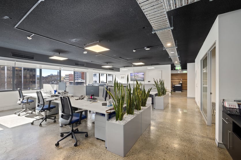 Click to view all images Suite 607/46 Kippax Street Surry Hills NSW 2010 - Image 3