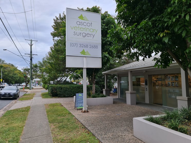 Click to view all images 1/223-225 Lancaster Road Ascot QLD 4007 - Image 3