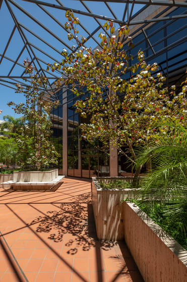 157 Grenfell Street Adelaide SA 5000 - Image 3