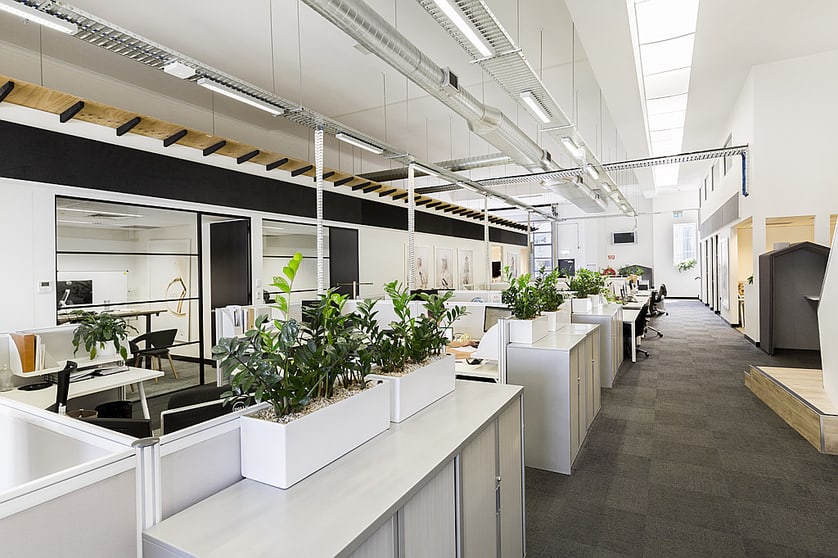 58 Victoria Street Mcmahons Point NSW 2060 - Image 3