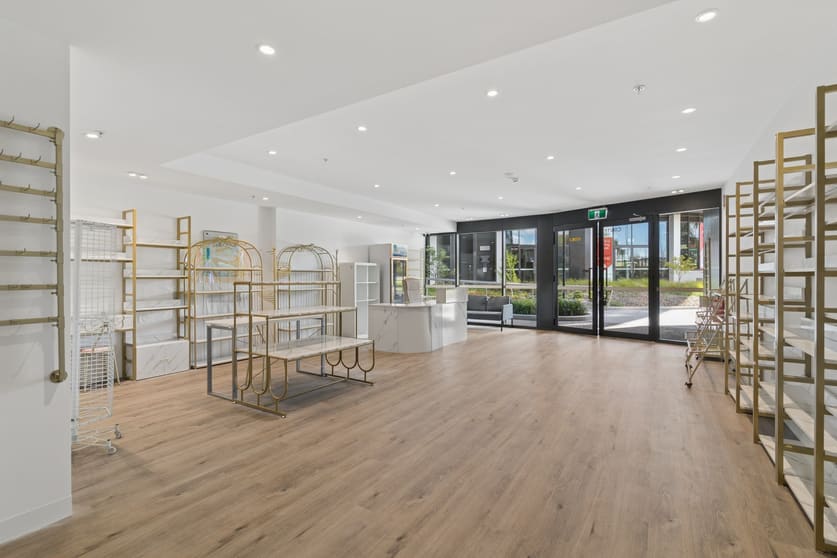 11 Launceston Street Phillip ACT 2606 - Image 3