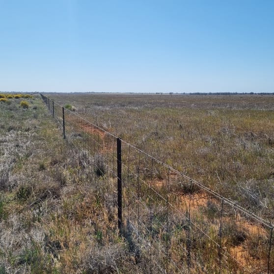 Click to view all images 275 James Road Bael Bael VIC 3579 - Image 3