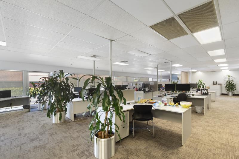 Suite 7/670 Canterbury Road Surrey Hills VIC 3127 - Image 3