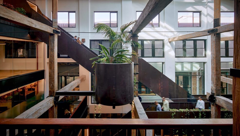 100 Harris Street Pyrmont NSW 2009 - Image 3
