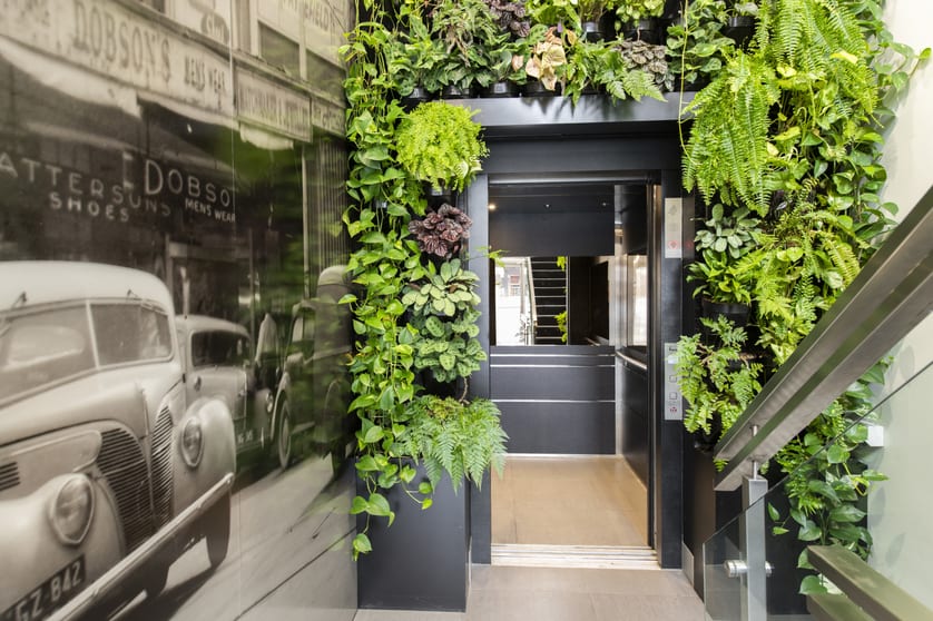 765 Glenferrie Road Hawthorn VIC 3122 - Image 5