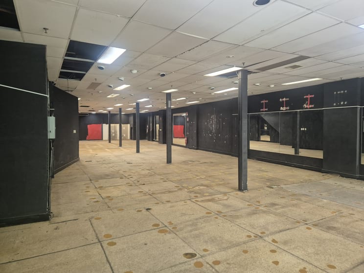 Level 1/305 Kent Street Sydney NSW 2000 - Image 3