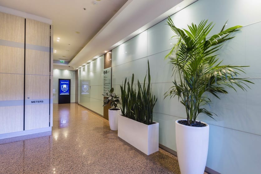 64 Clarence Street Sydney NSW 2000 - Image 3