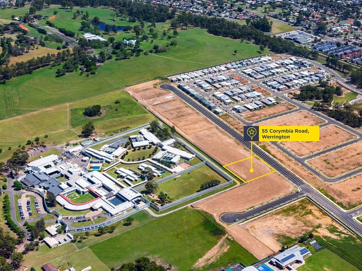 55 Corymbia Rd Werrington NSW 2747 - Image 2