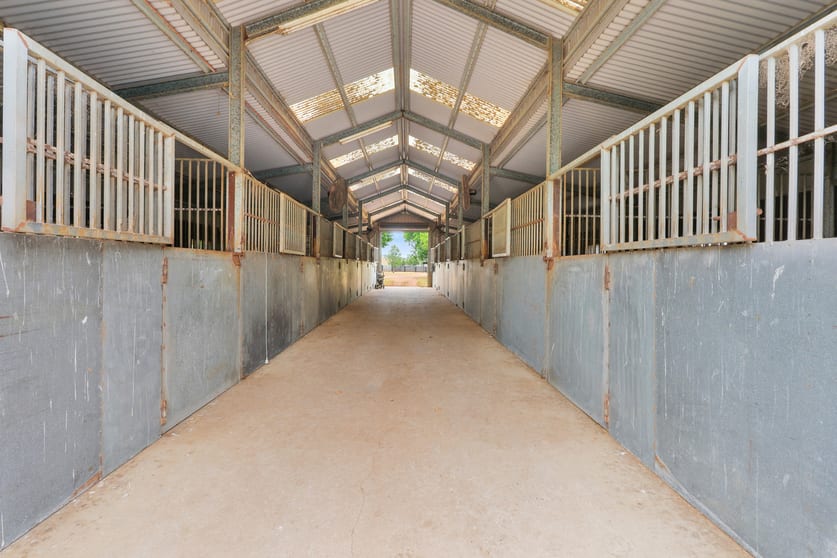 Click to view all images 164 Upper Dartbrook Road Scone NSW 2337 - Image 3