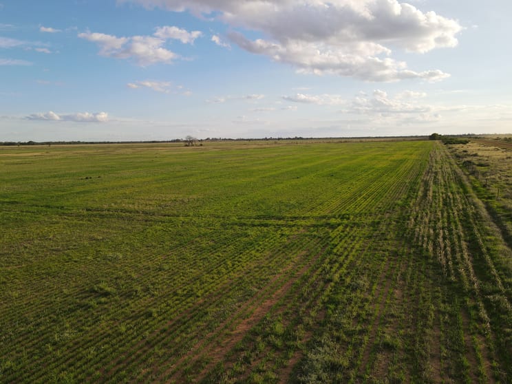 275 James Road Bael Bael VIC 3579 - Image 3