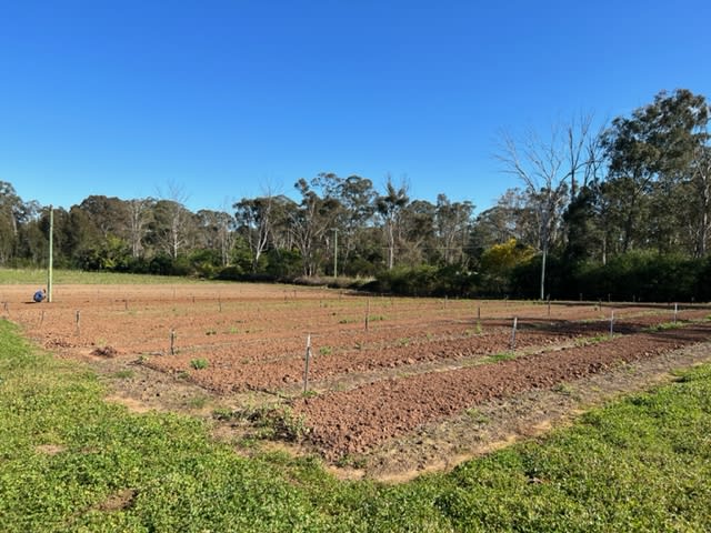 24 Burfitt Road Schofields NSW 2762 - Image 1
